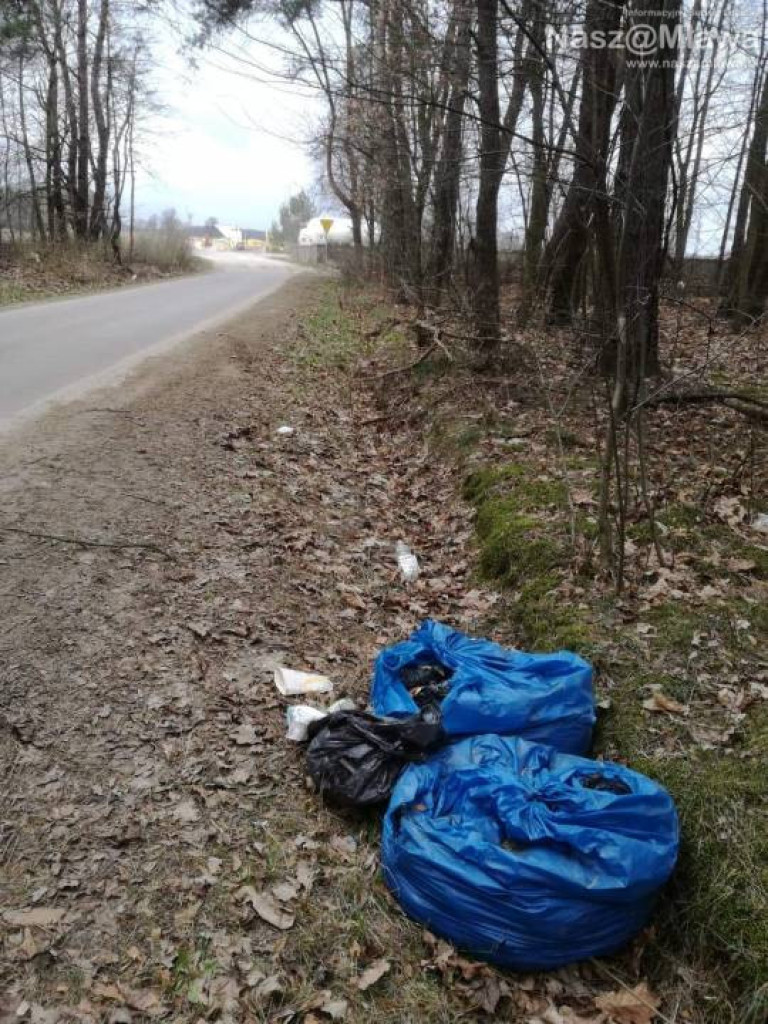 Śmietnik zamiast lasu