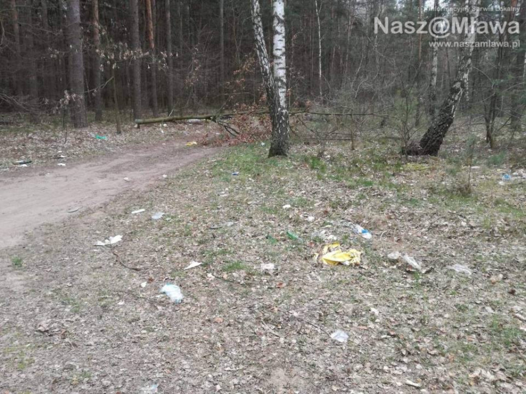 Śmietnik zamiast lasu