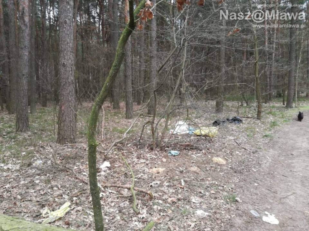 Śmietnik zamiast lasu