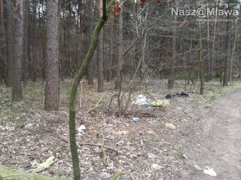 Śmietnik zamiast lasu