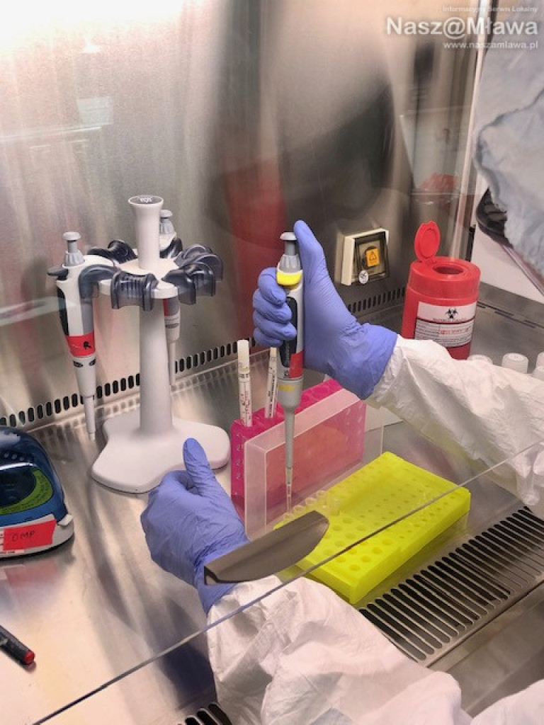 COVID-19. Wojsko wesprze bazę diagnostyczną