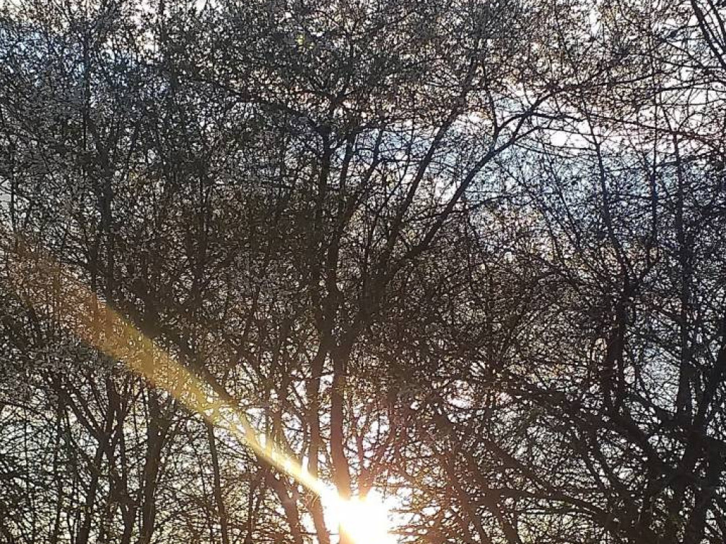 Dzień Ziemi 2020. Przyroda budzi się do życia [FILM]