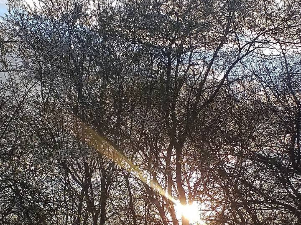 Dzień Ziemi 2020. Przyroda budzi się do życia [FILM]