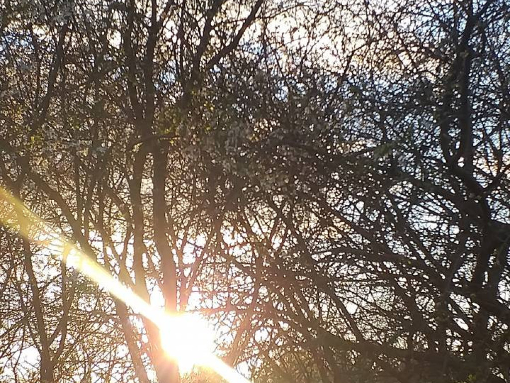 Dzień Ziemi 2020. Przyroda budzi się do życia [FILM]