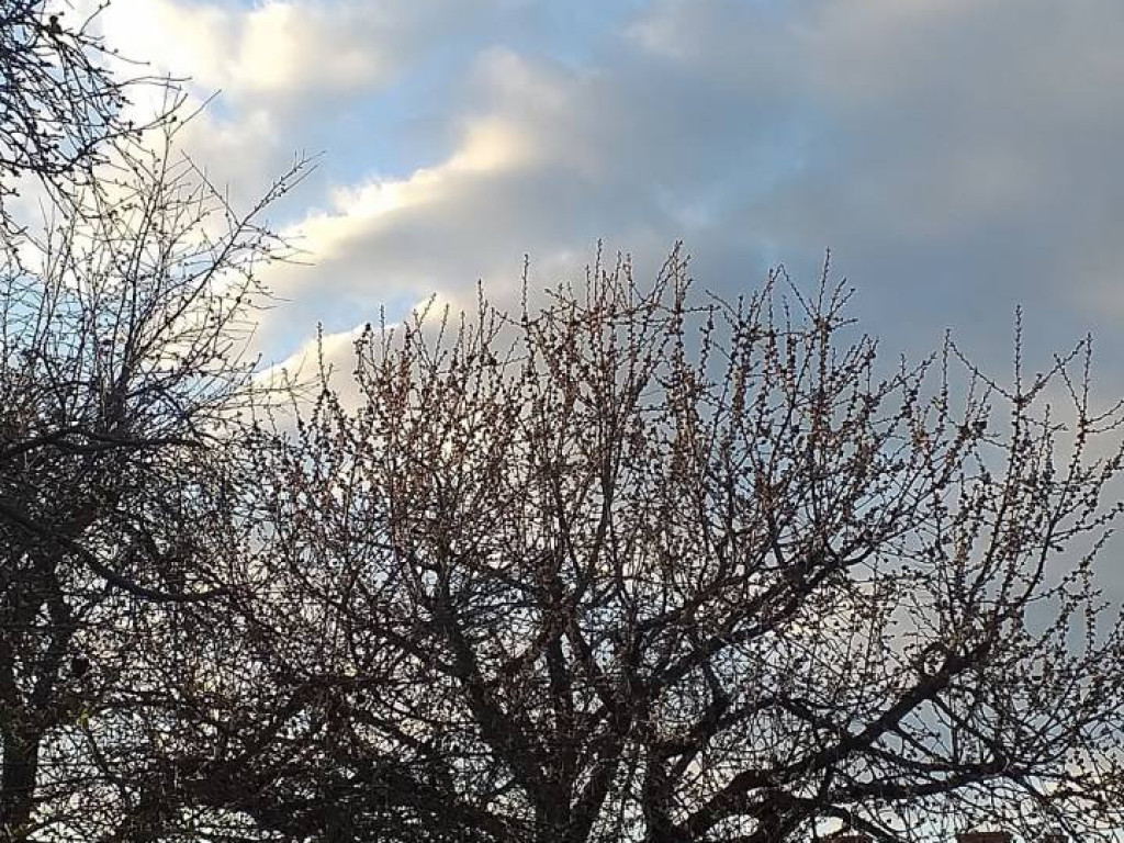 Dzień Ziemi 2020. Przyroda budzi się do życia [FILM]