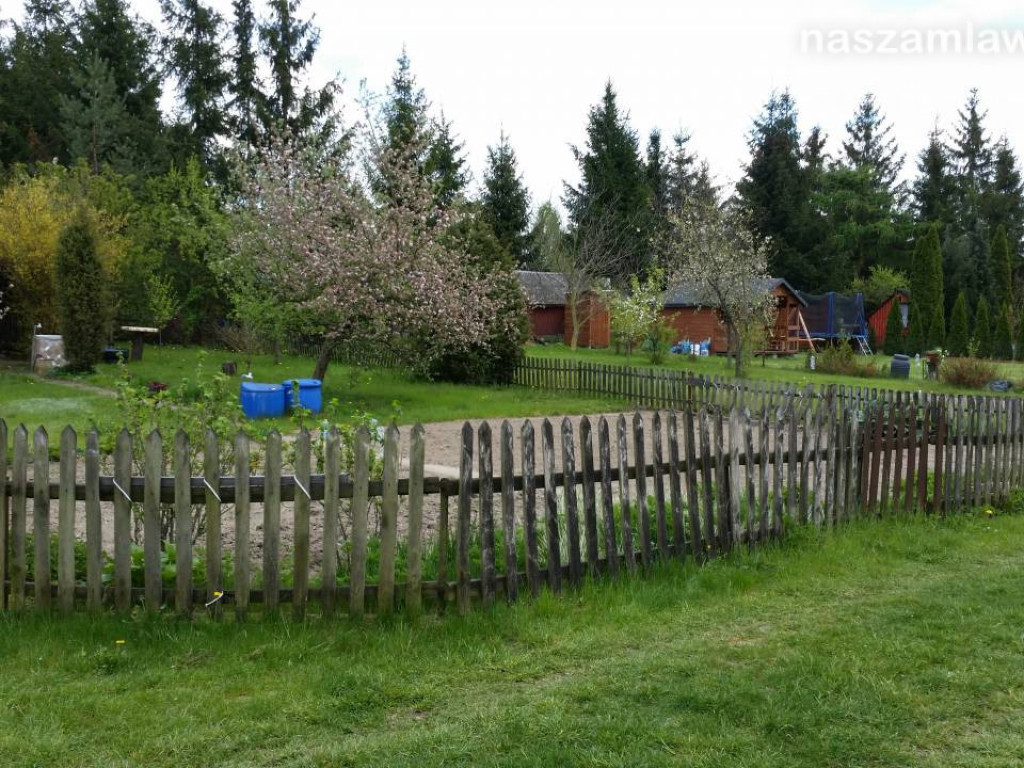 Kwitnący maj w Mławie (FOTORELACJA)