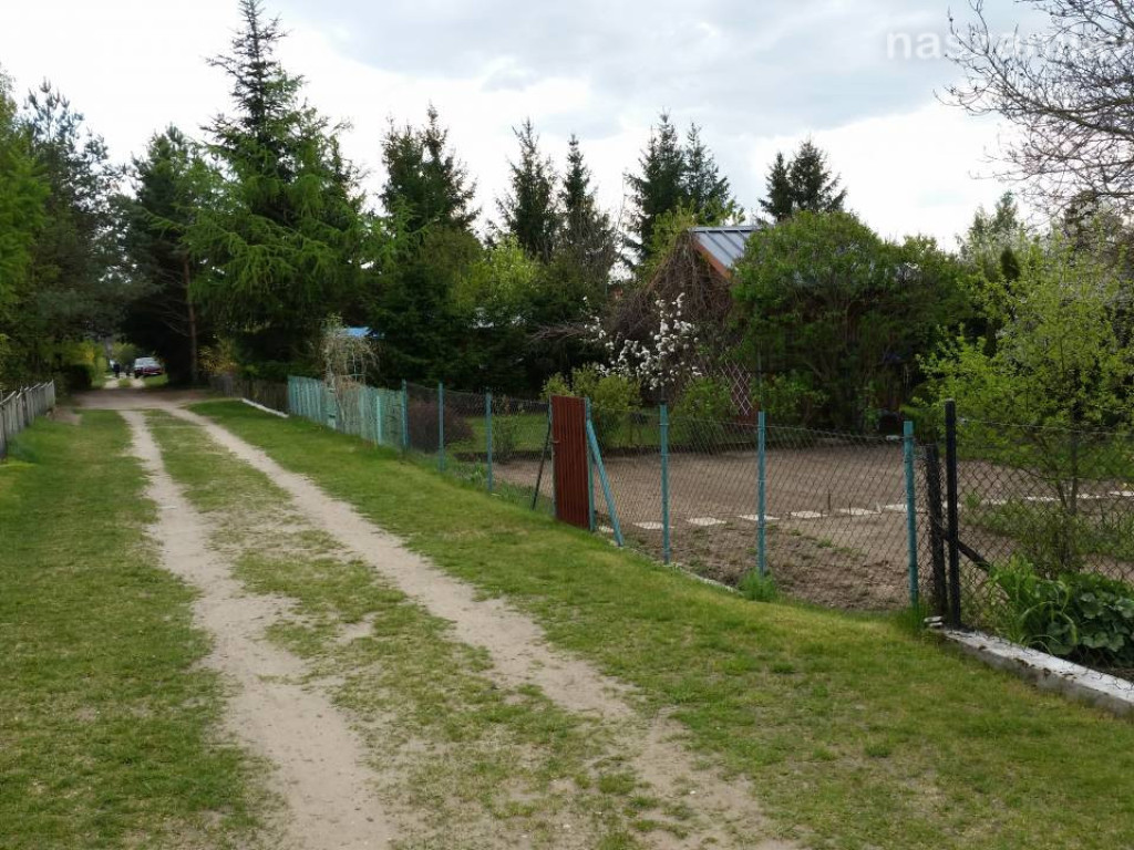 Kwitnący maj w Mławie (FOTORELACJA)