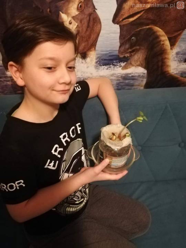 Katolicka Szkoła Podstawowa on-line