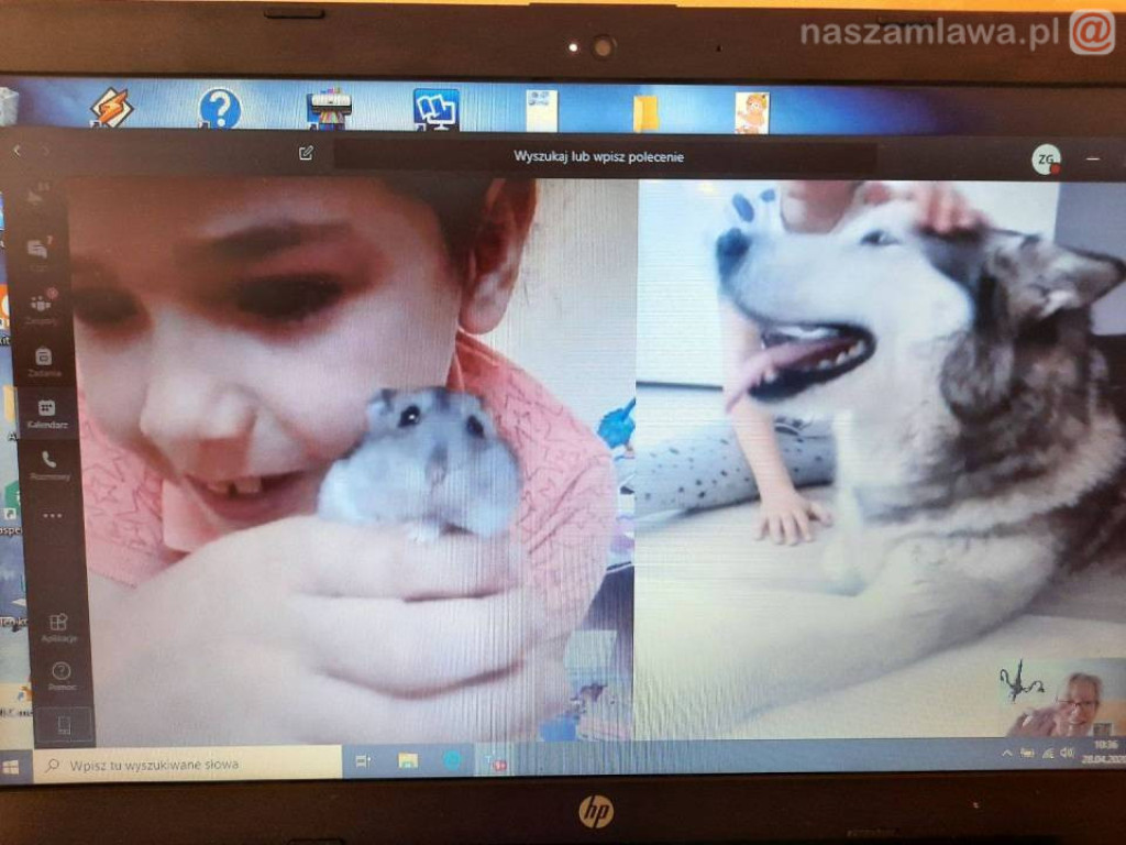 Katolicka Szkoła Podstawowa on-line