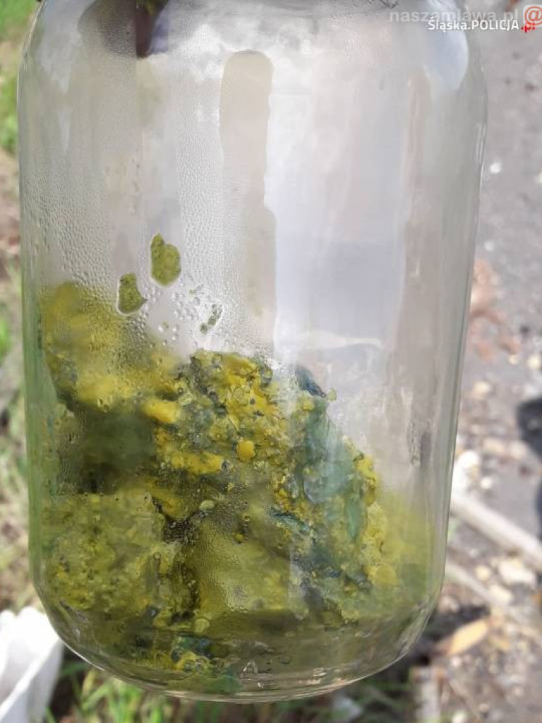 Potężne uderzenie w mafię śmieciową na Śląsku [FILM]