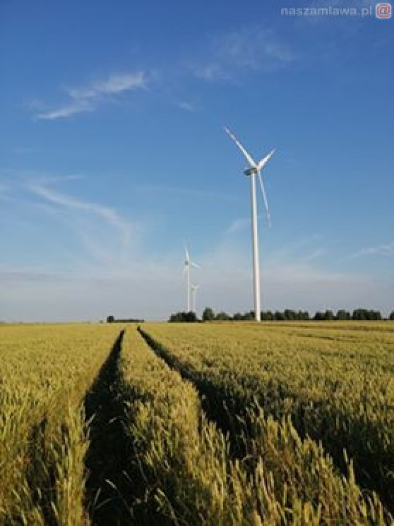 Zobacz na Naszej Mławie zdjęcia Czytelników