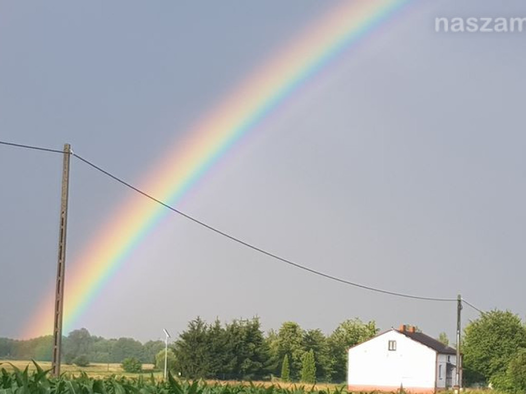 Zobacz na Naszej Mławie zdjęcia Czytelników