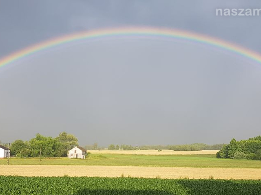 Zobacz na Naszej Mławie zdjęcia Czytelników
