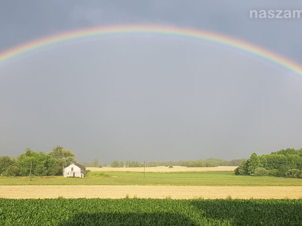 Zobacz na Naszej Mławie zdjęcia Czytelników