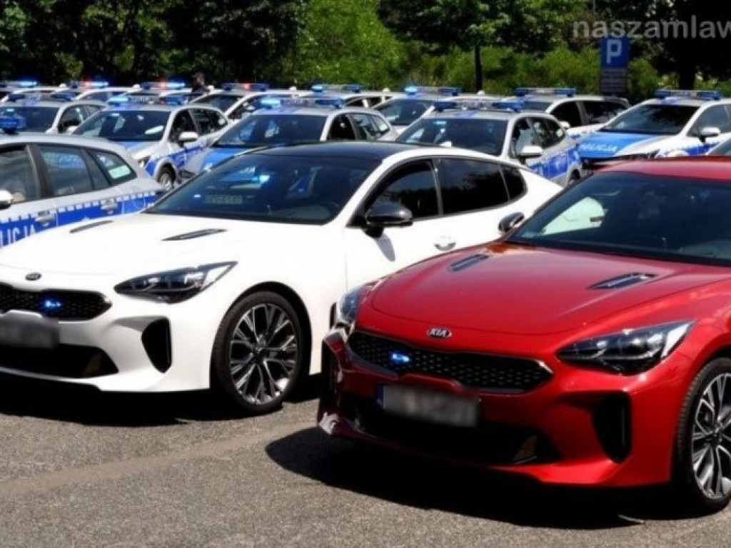 Grupa SPEED w akcji [VIDEO]