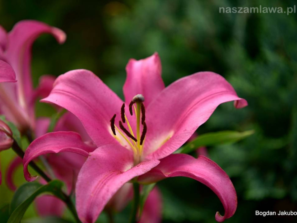 Niezwykłe krajobrazy Bogdana Jakubowskiego z Mławy