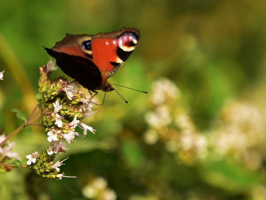 Niezwykłe krajobrazy Bogdana Jakubowskiego z Mławy