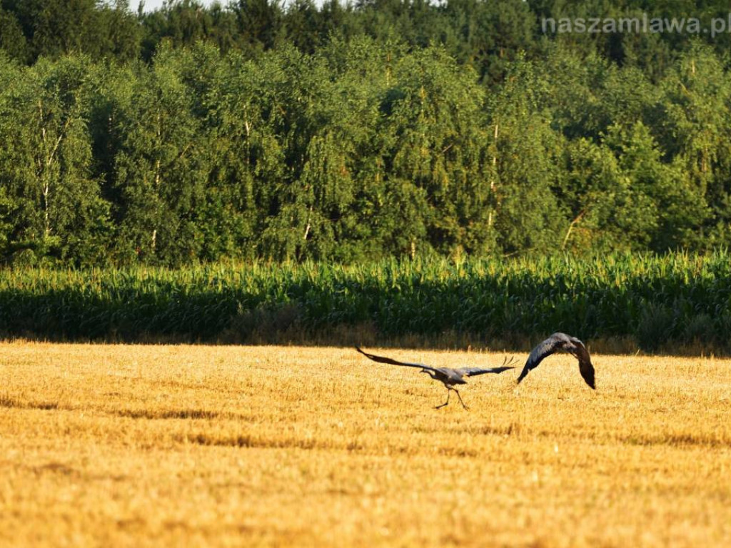 Niezwykłe krajobrazy Bogdana Jakubowskiego z Mławy