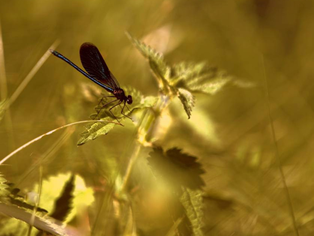 Niezwykłe krajobrazy Bogdana Jakubowskiego z Mławy