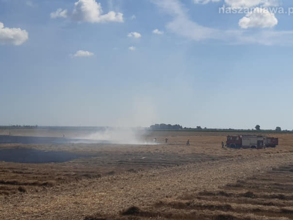 Uprawy  i samochód w ogniu (ZDJĘCIA)