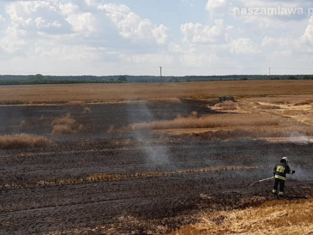 Uprawy  i samochód w ogniu (ZDJĘCIA)