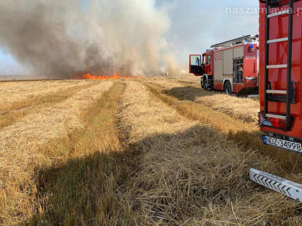 Uprawy  i samochód w ogniu (ZDJĘCIA)