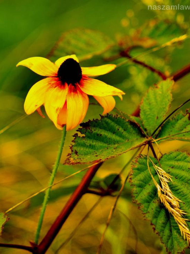 Takie klimaty w Mławie i okolicach [ZDJĘCIA]