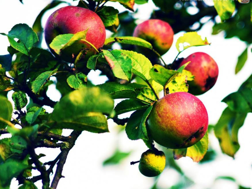 Takie klimaty w Mławie i okolicach [ZDJĘCIA]