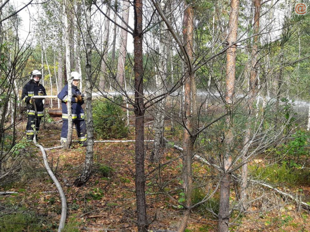Płonący las, walka z ogniem - spokojnie, to tylko ćwiczenia (ZDJĘCIA)