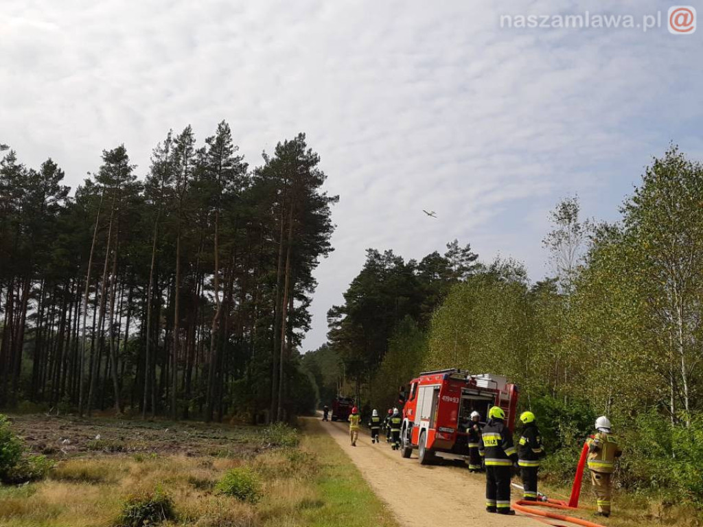 Płonący las, walka z ogniem - spokojnie, to tylko ćwiczenia (ZDJĘCIA)