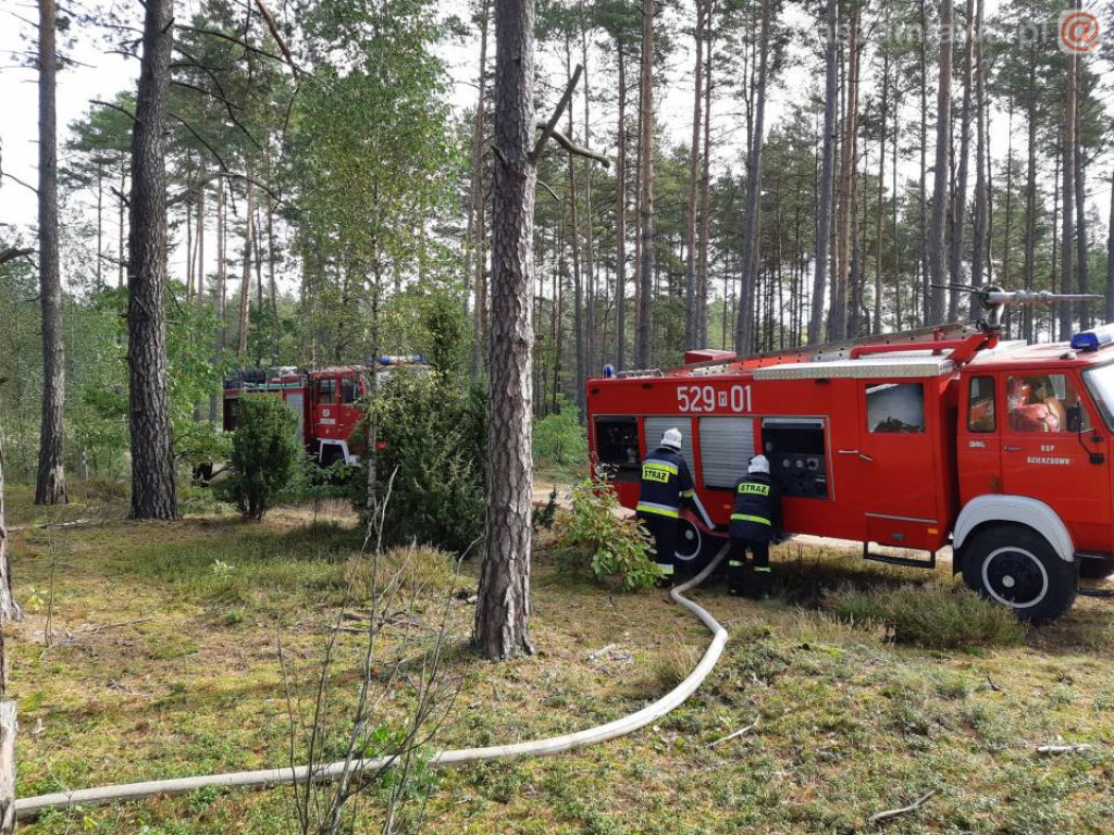 Płonący las, walka z ogniem - spokojnie, to tylko ćwiczenia (ZDJĘCIA)