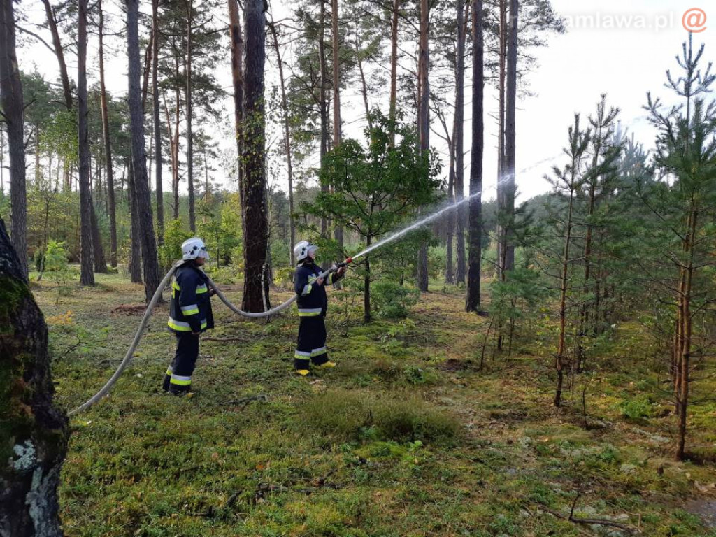 Płonący las, walka z ogniem - spokojnie, to tylko ćwiczenia (ZDJĘCIA)