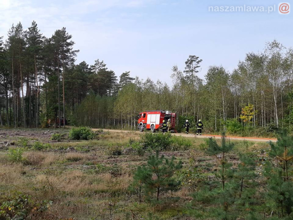 Płonący las, walka z ogniem - spokojnie, to tylko ćwiczenia (ZDJĘCIA)