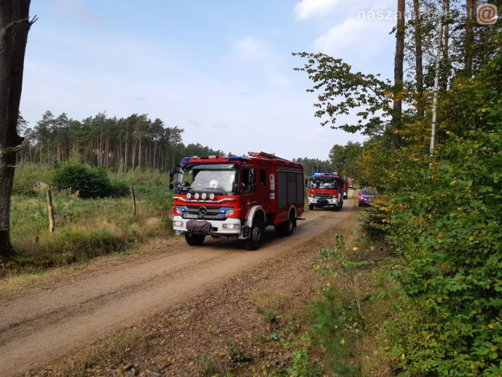 Płonący las, walka z ogniem - spokojnie, to tylko ćwiczenia (ZDJĘCIA)