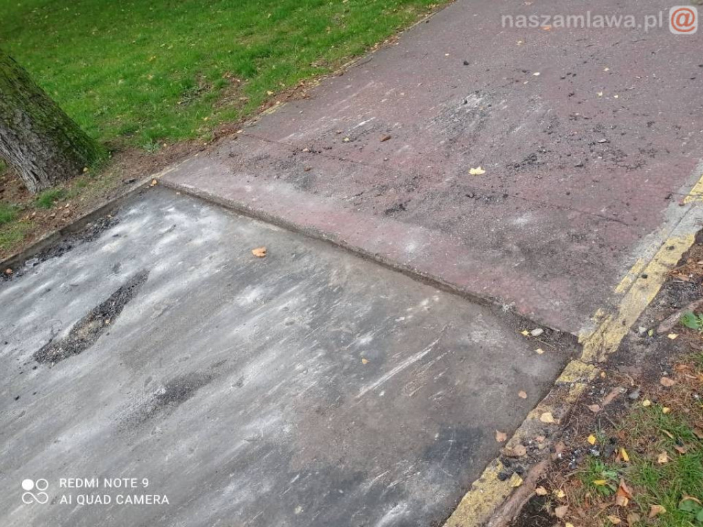 Ciężki sprzęt w parku (ZDJĘCIA)