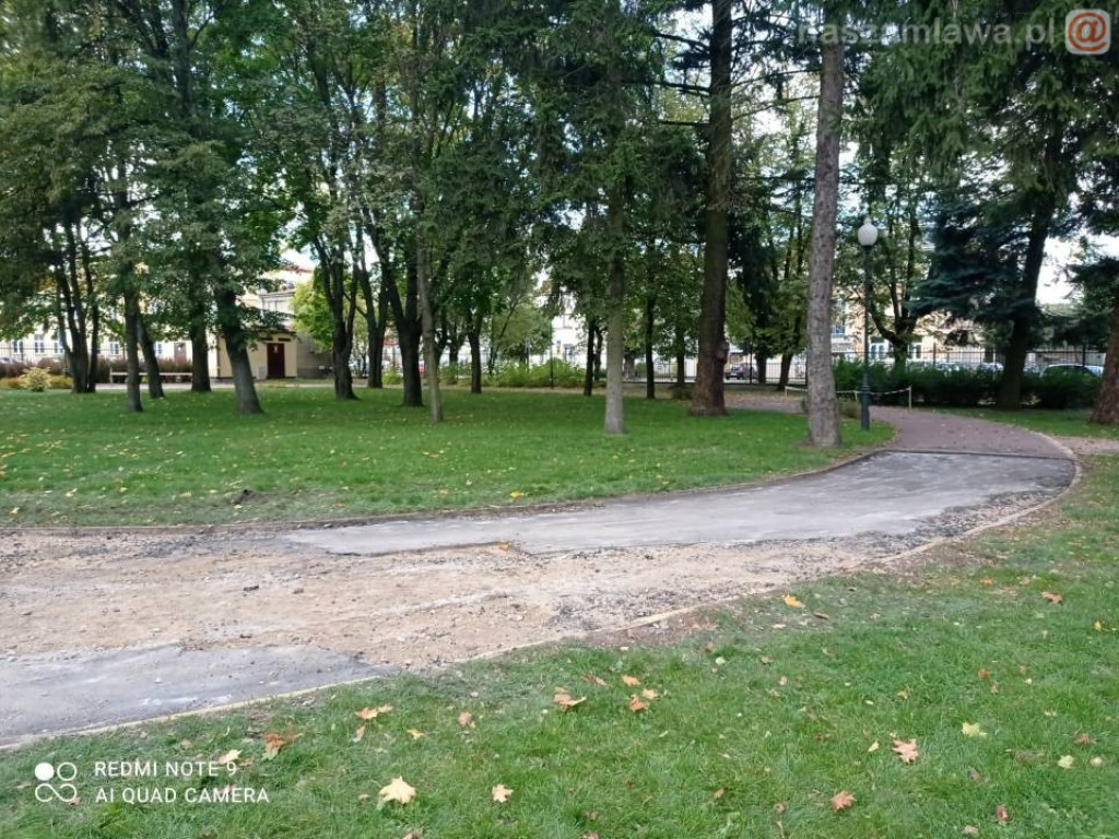 Ciężki sprzęt w parku (ZDJĘCIA)