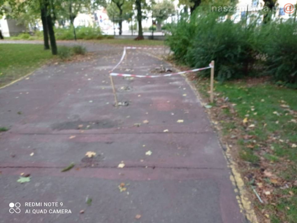 Ciężki sprzęt w parku (ZDJĘCIA)