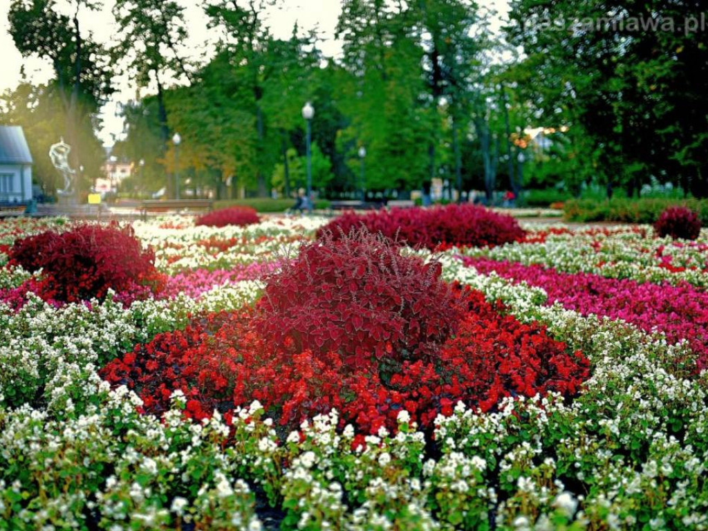 Taka jest Mława [ZDJĘCIA]