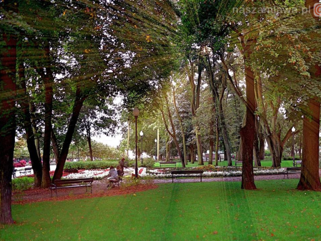 Taka jest Mława [ZDJĘCIA]