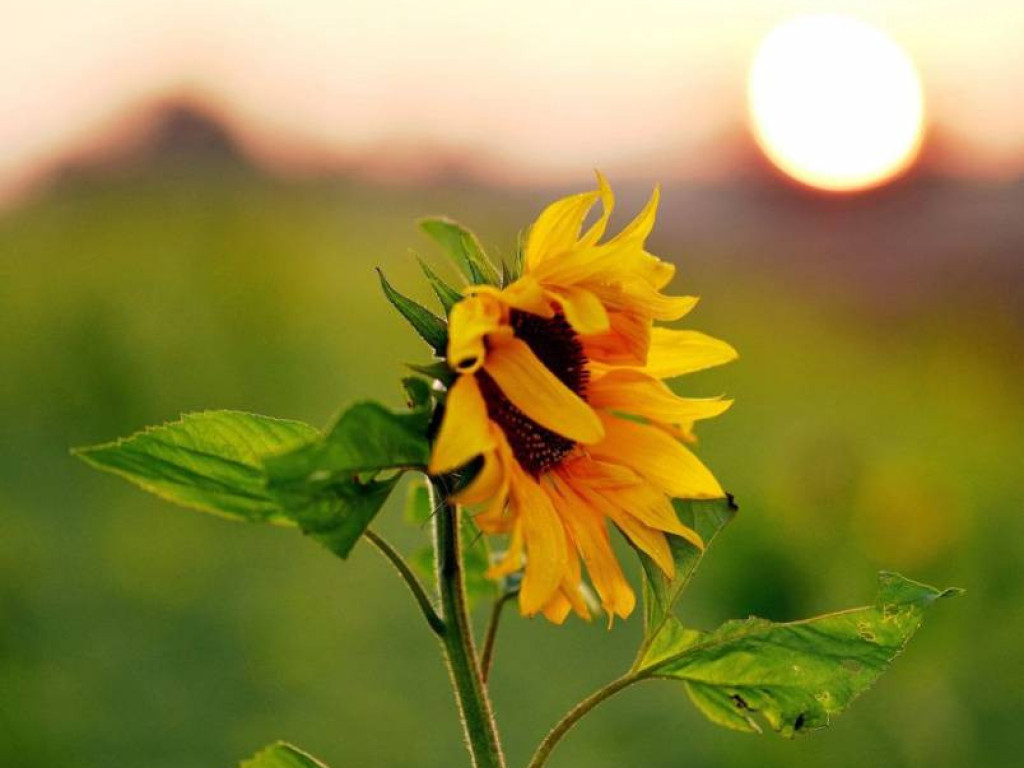 Taka jest Mława [ZDJĘCIA]