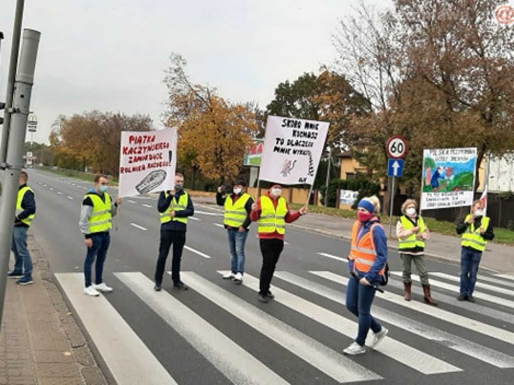 Zobaczcie, jak rolnicy strajkowali w Warszawie [FILM i ZDJĘCIA]