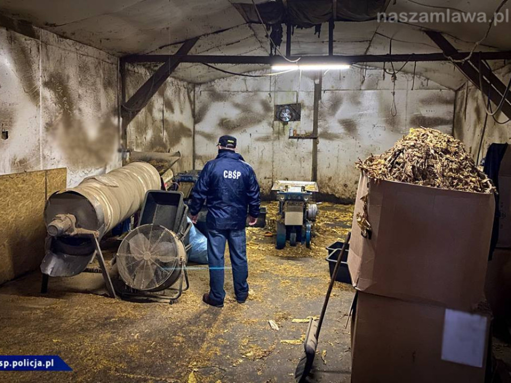 Wielomilionowy przemyt nielegalnych papierosów [FILM]