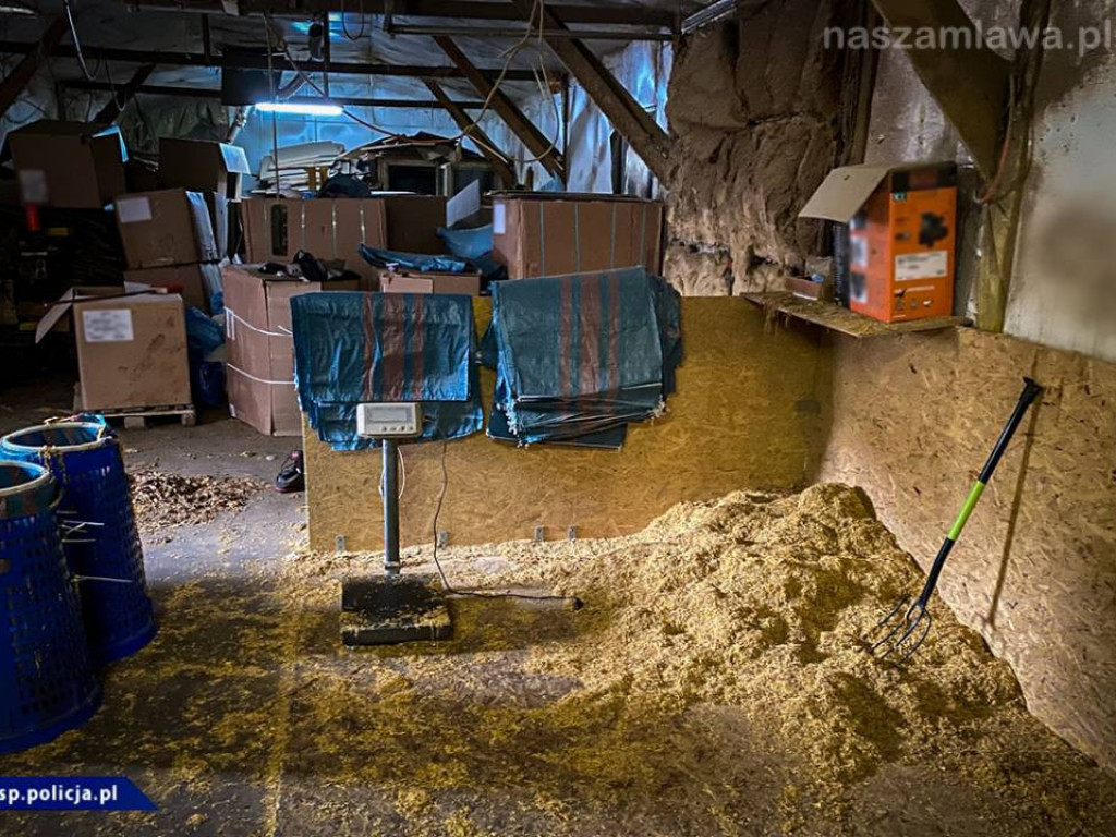 Wielomilionowy przemyt nielegalnych papierosów [FILM]