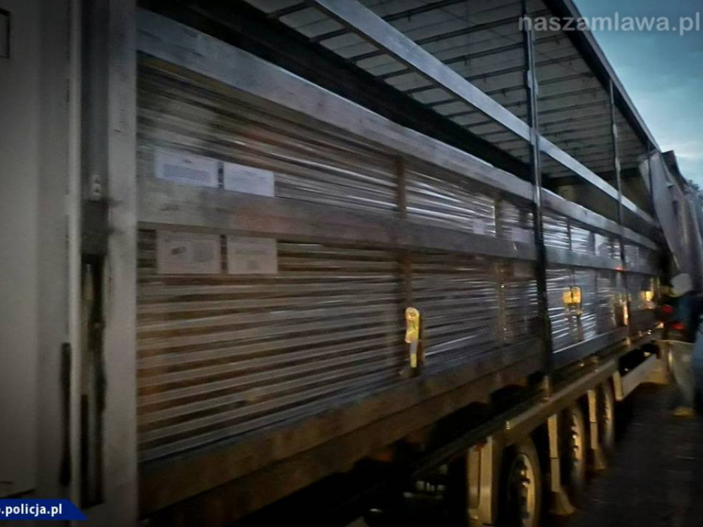 Wielomilionowy przemyt nielegalnych papierosów [FILM]