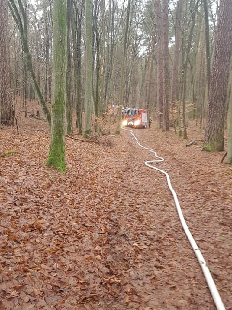 Spłonął ponad 600-letni Dąb (ZDJĘCIA)