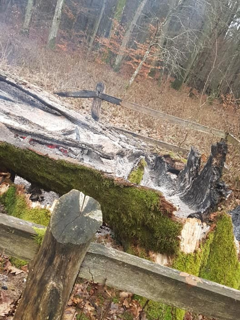 Spłonął ponad 600-letni Dąb (ZDJĘCIA)