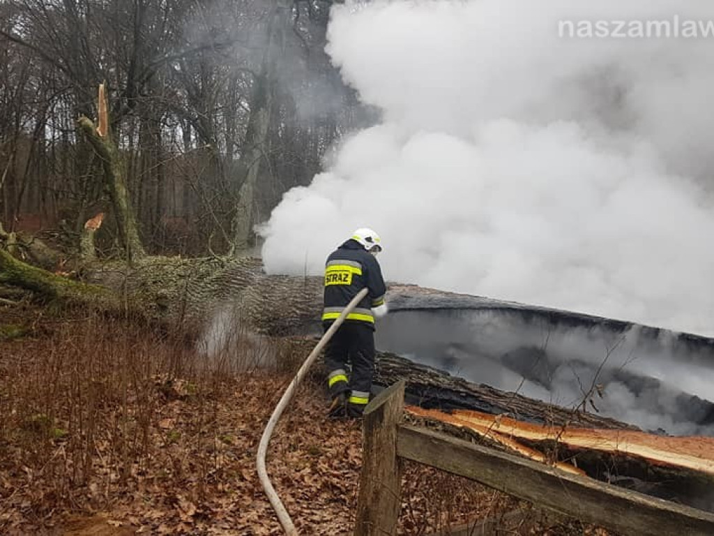 Spłonął ponad 600-letni Dąb (ZDJĘCIA)