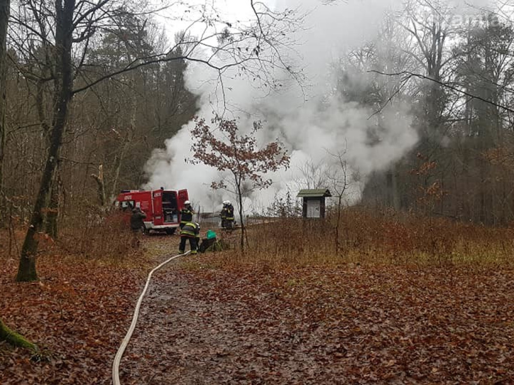 Spłonął ponad 600-letni Dąb (ZDJĘCIA)