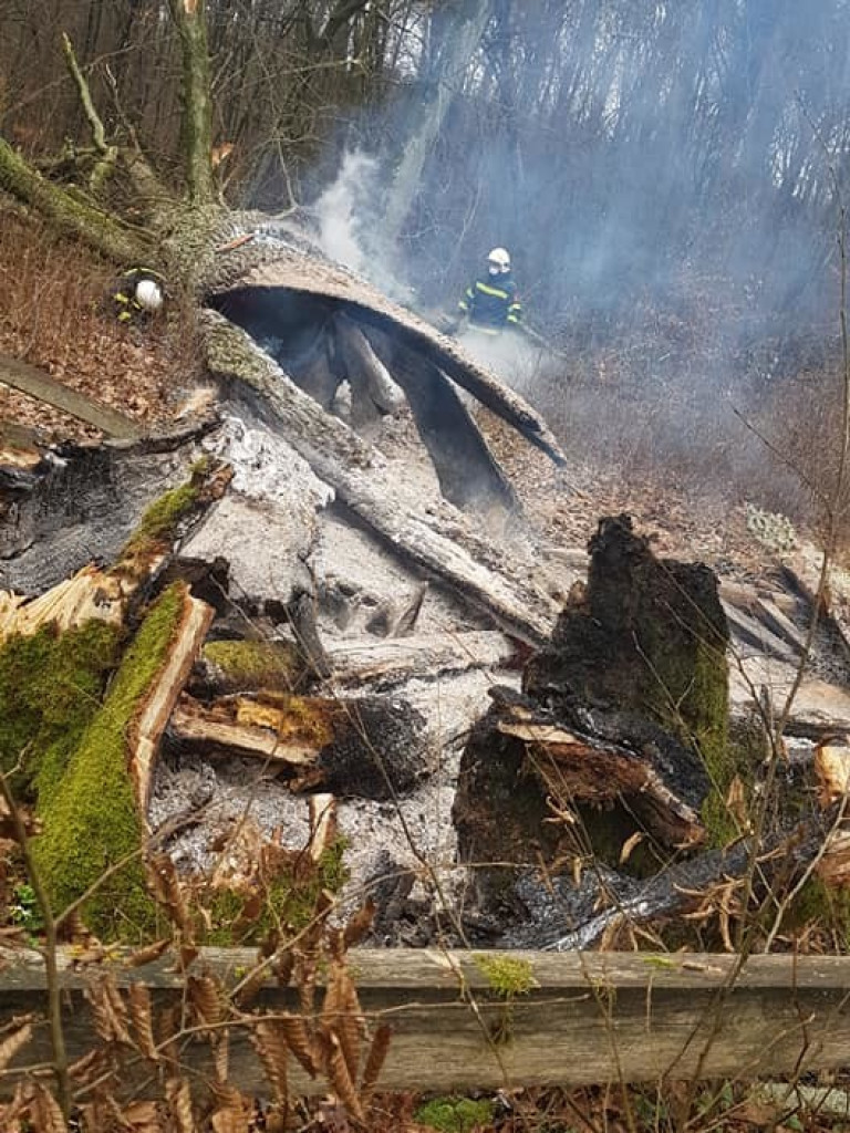 Spłonął ponad 600-letni Dąb (ZDJĘCIA)