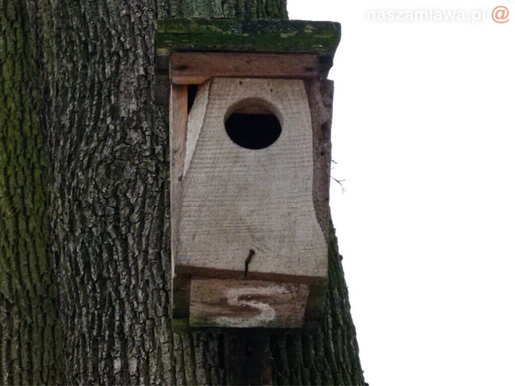 Parkowe budki dla ptaków w stanie rozpadu